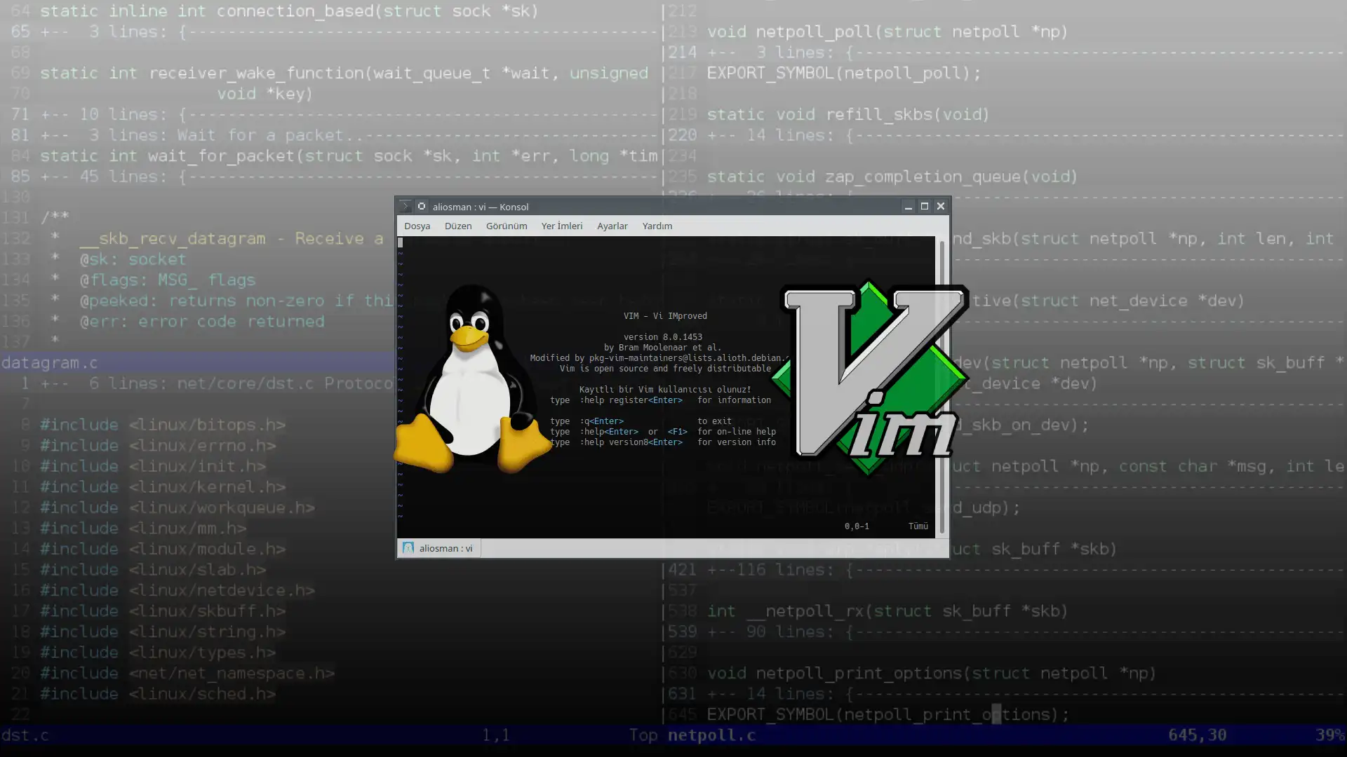 Linux Vi / Vim Metin Editöründe Arama Yapmak Görseli